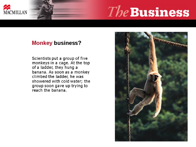 Monkey business?  Scientists put a group of five monkeys in a cage. At